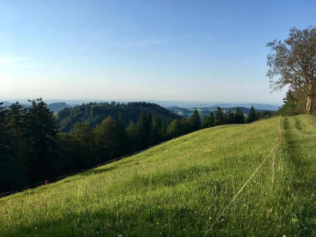 Eine Hügelkette vom Grat aus.