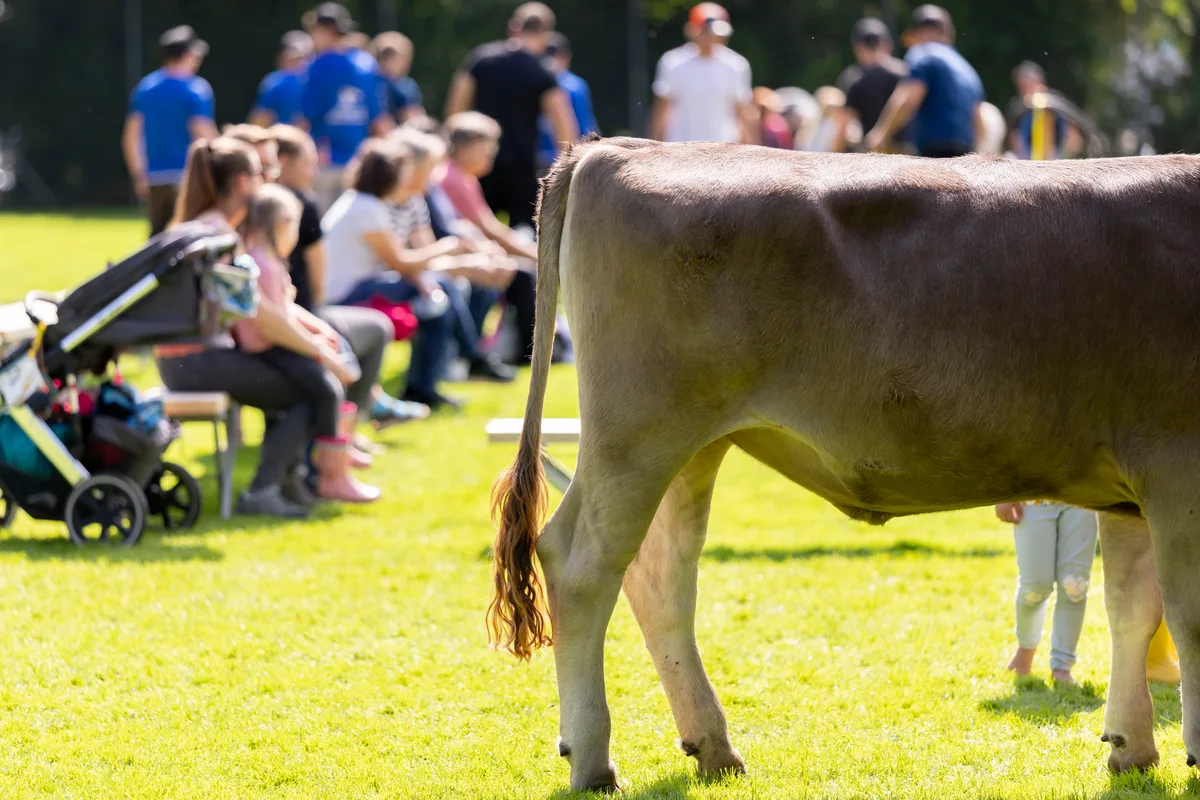 Impressionen vom Bachtelschwinget 2025 in Hinwil