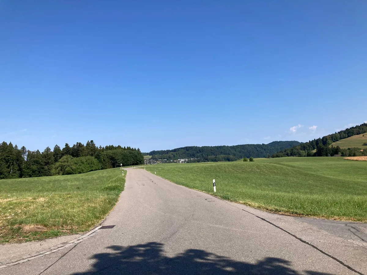 Ein abwärts führende Strasse.