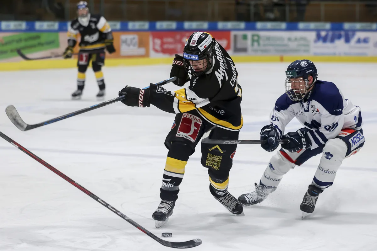 siehe description