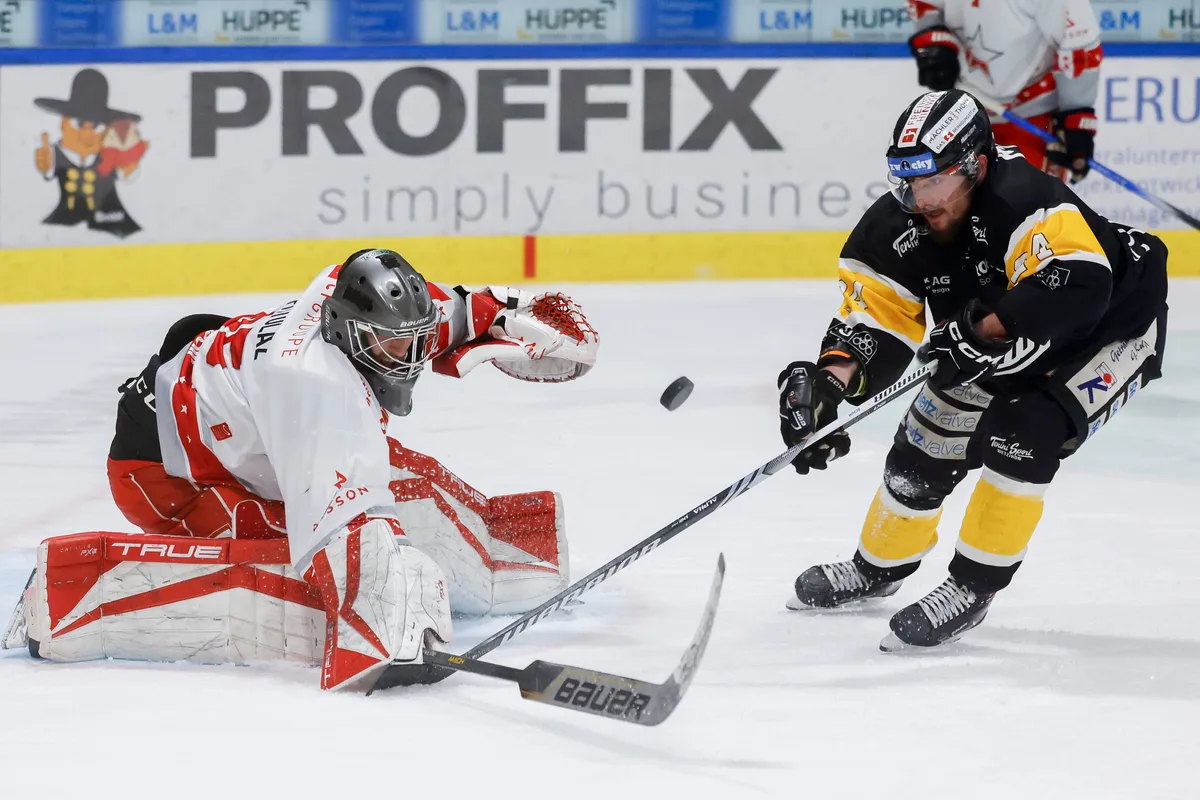 2. Spiel der Finalserie EHC Wetzikon gegen HCV Sion