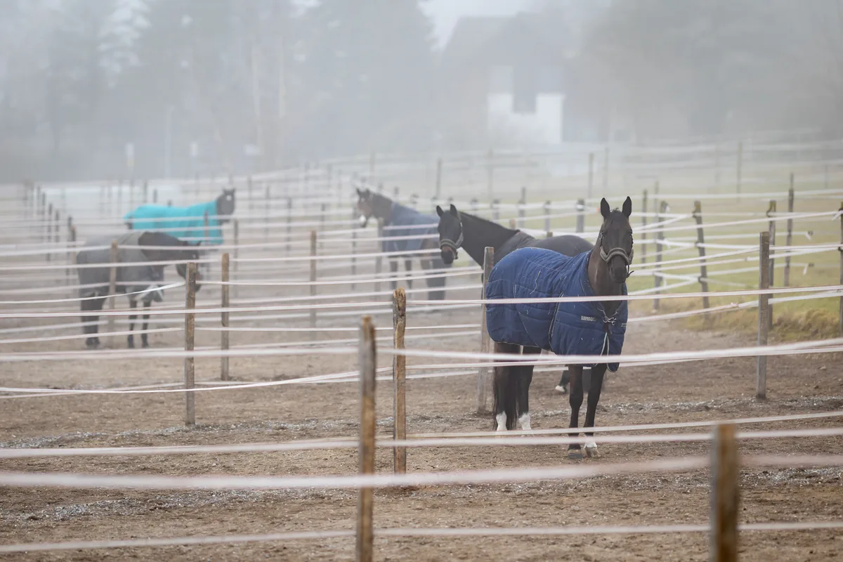 Estelle Wettstein auf ihrem Hof
