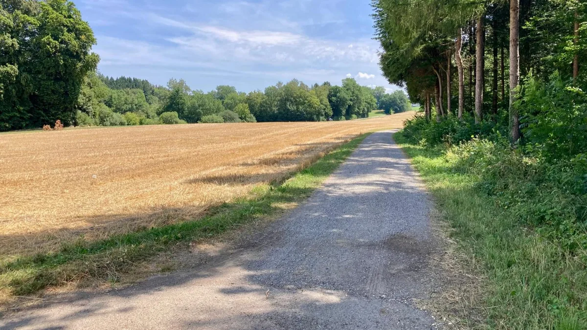 Ein Kiesweg an einem Waldrand.