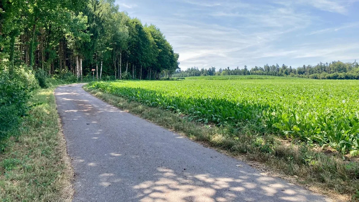 Ein Weg neben einer Wiese.