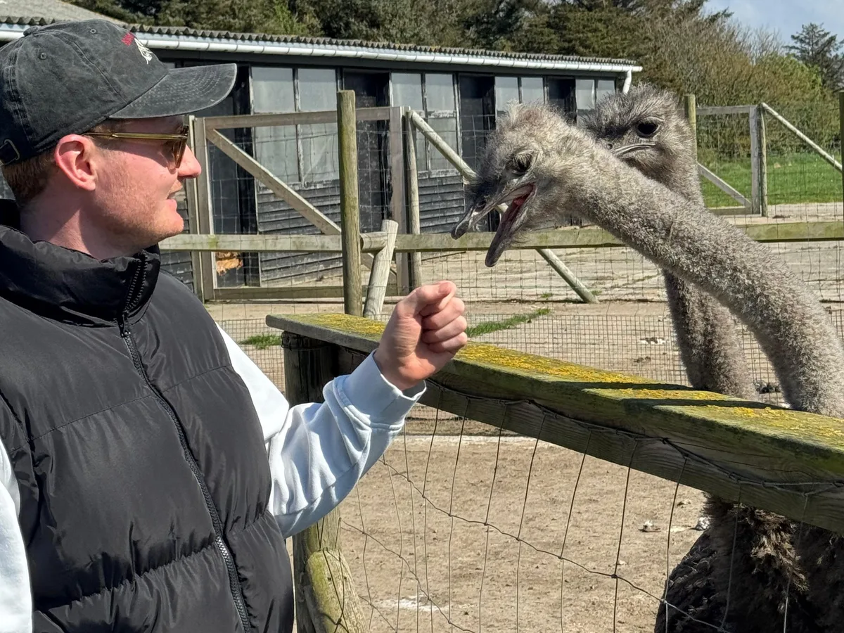 Sebastian Stalder und ein junger Strauss