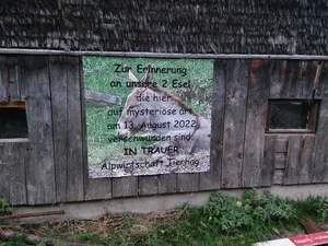 11423597-1 Nach dem mysteriösen Verschwinden der Esel Lucy und Sancho haben die Besitzer eine Gedenktafel errichten lassen.