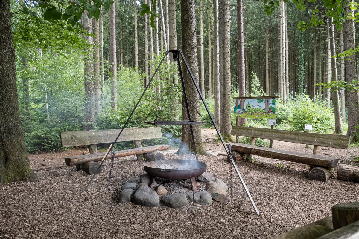 29119688-2 Die Trockenheit ist passé, im Wald darf wieder Feuer gemacht werden. (Archiv)
