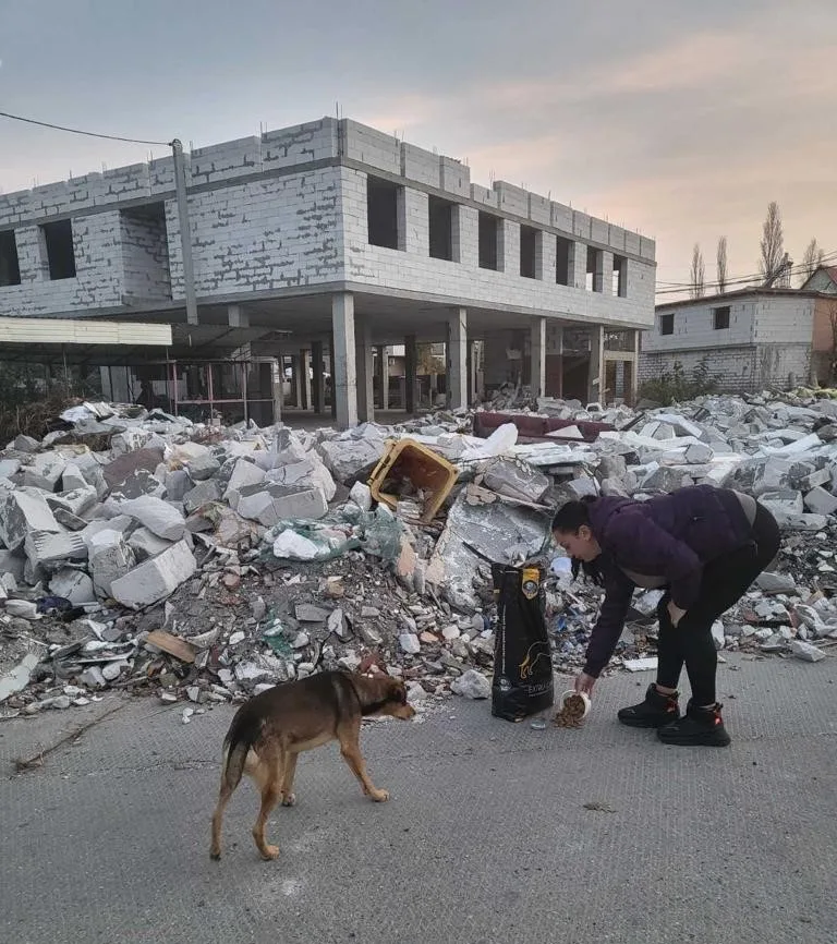 10719491-4 Eine Helferin der Susy Utzinger Stiftung füttert verwaiste Tiere in den Ruinen Shirokoye in der Ukraine.