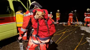 Sophie liess sich bei ihrer Rettung problemlos in einen Rucksack packen. Sophie liess sich bei ihrer Rettung problemlos in einen Rucksack packen.