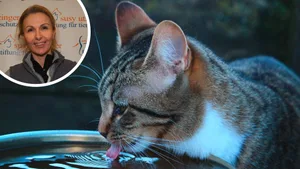 12475139-1 Wasser trinken im Sommer ist wichtig, sowohl für Menschen als auch Tiere. Susy Utzinger hat weitere Tipps.