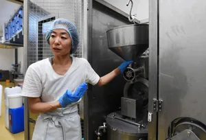 Die eingeweichten Sojabohnen werden in der Mühle mit Wasser püriert. Die eingeweichten Sojabohnen werden in der Mühle mit Wasser püriert.