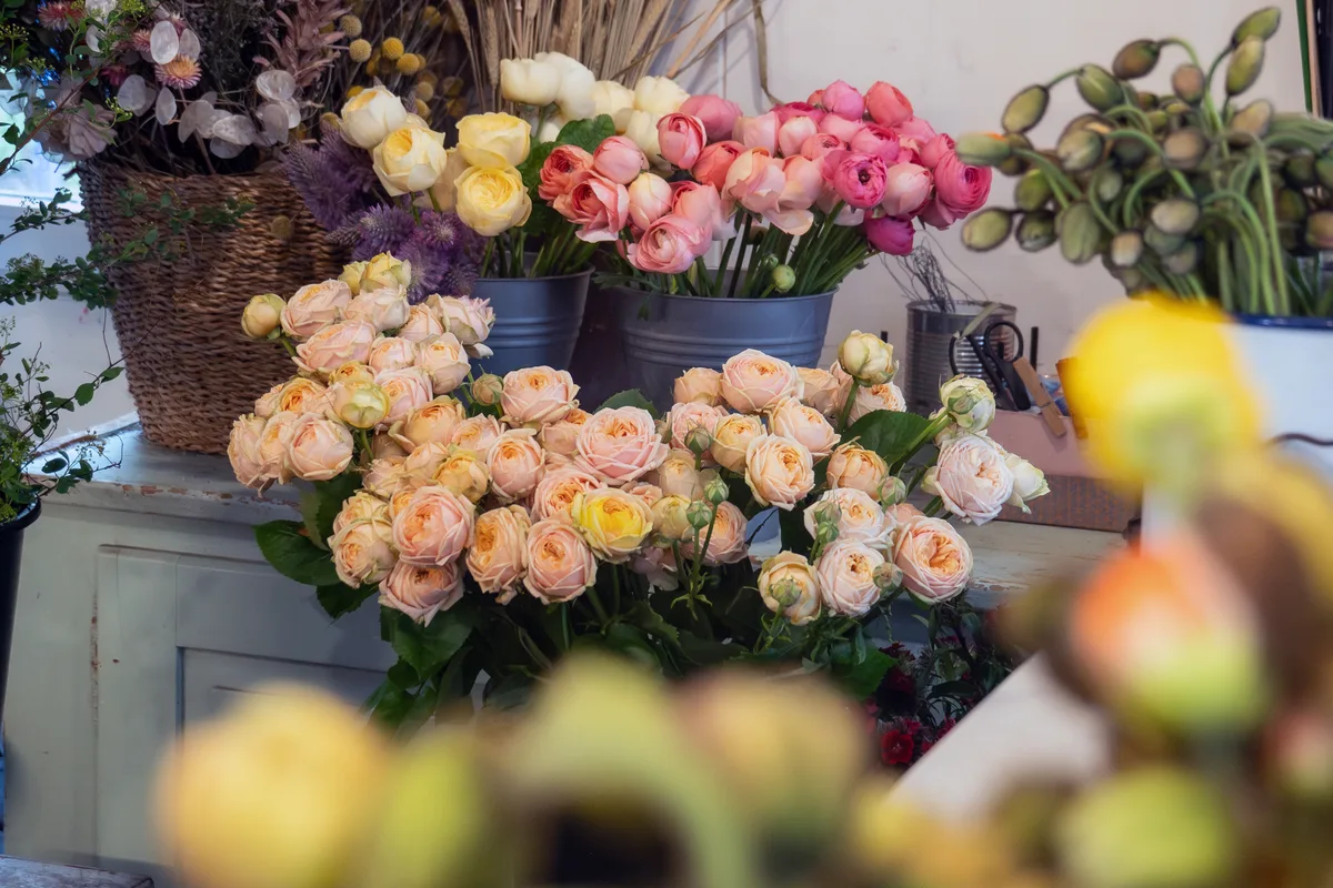 Die beiden Floristinnen Luzia Mantegazzi-Neurohr und Anna Brunner verbindet Beruf und Freundschaft. Sie sind u. a. auf Hochzeitsfloristik spezialisiert und starteten im April in die Hochzeitssaison 2024.