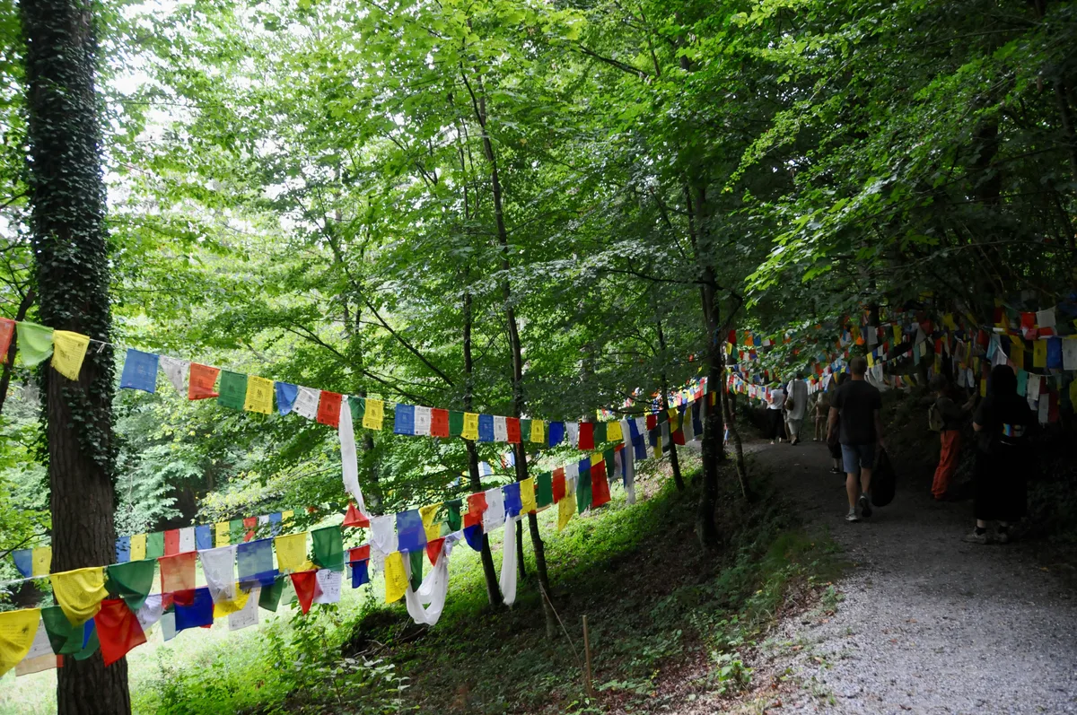 Man sieht bunte Fahnen im Wald.
