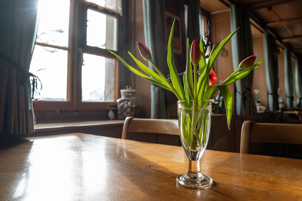 Hedi Werren legt viel Wert auf Details. Tulpen auf einem Tisch in einem Restaurant.