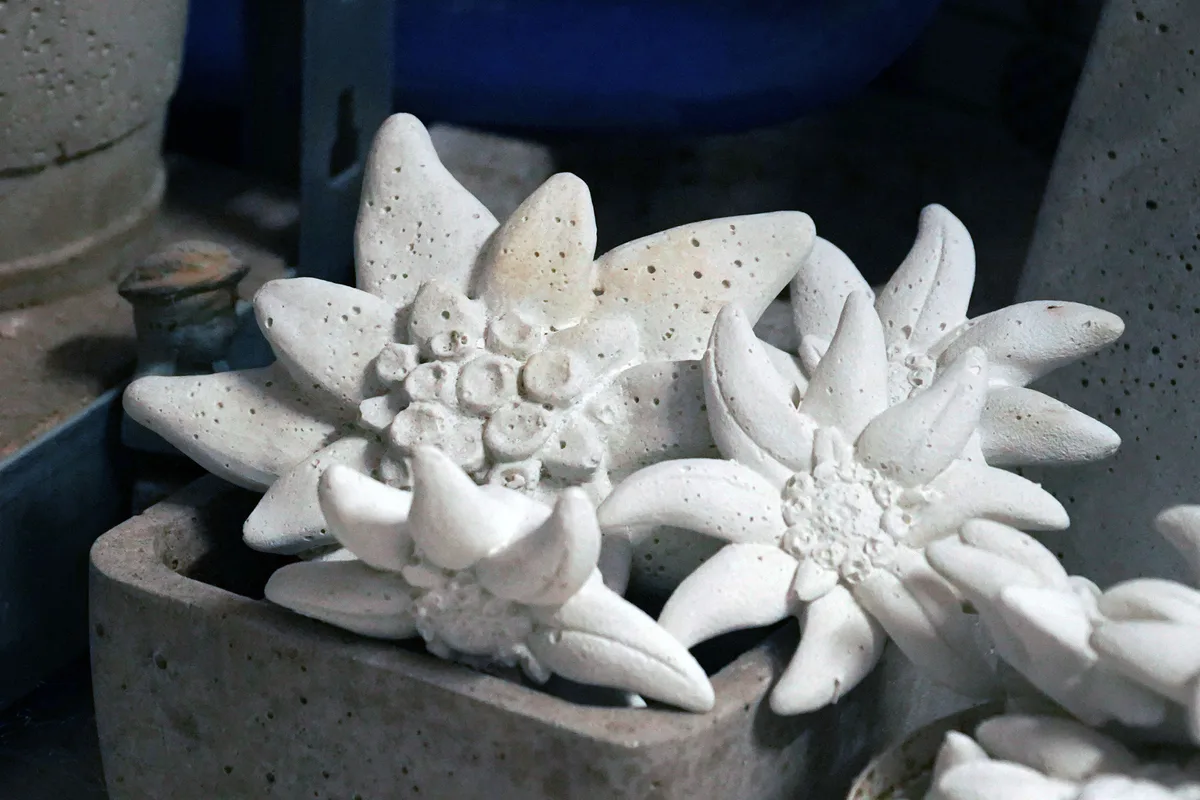 Edelweisse aus weissem Beton. Die Alpenblume aus Beton hat viele Liebhaber im Berner Oberland. Seit bald zehn Jahren betreibt Michelle Baumgartner aus Wila die Beton-Garage.