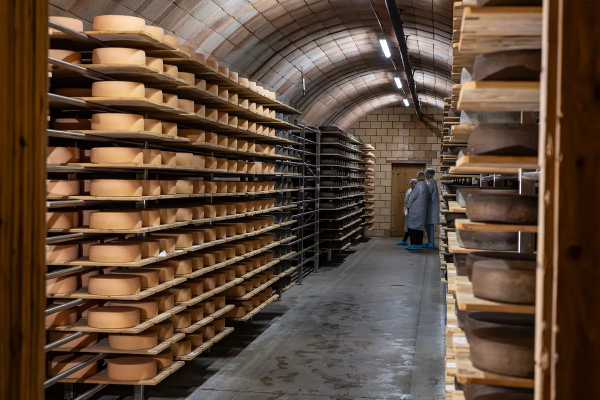 Besuch der Käserei, Lagerhalle in Saland, anlässlich des kommenden Zürcher Oberländer Käsemarkts.