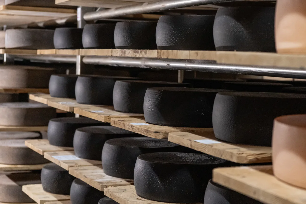 Besuch der Käserei, Lagerhalle in Saland, anlässlich des kommenden Zürcher Oberländer Käsemarkts.