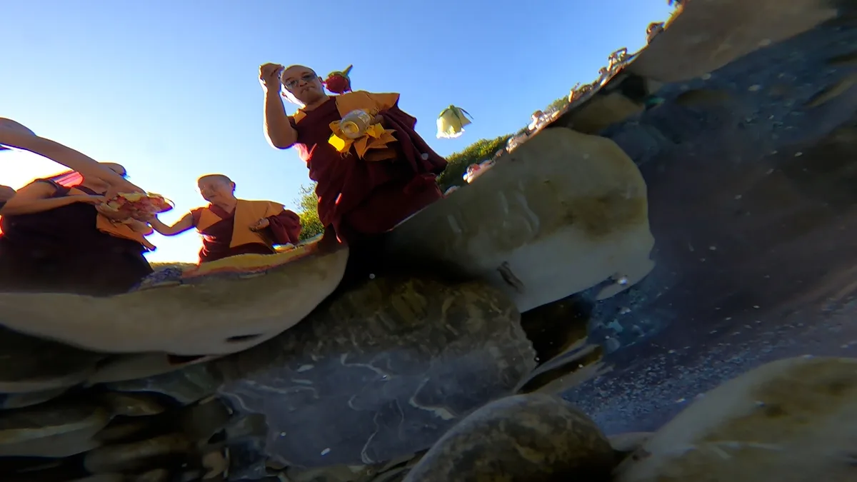 … werden ebenfalls in die Töss gestreut. Unterwassersicht aus der Töss.