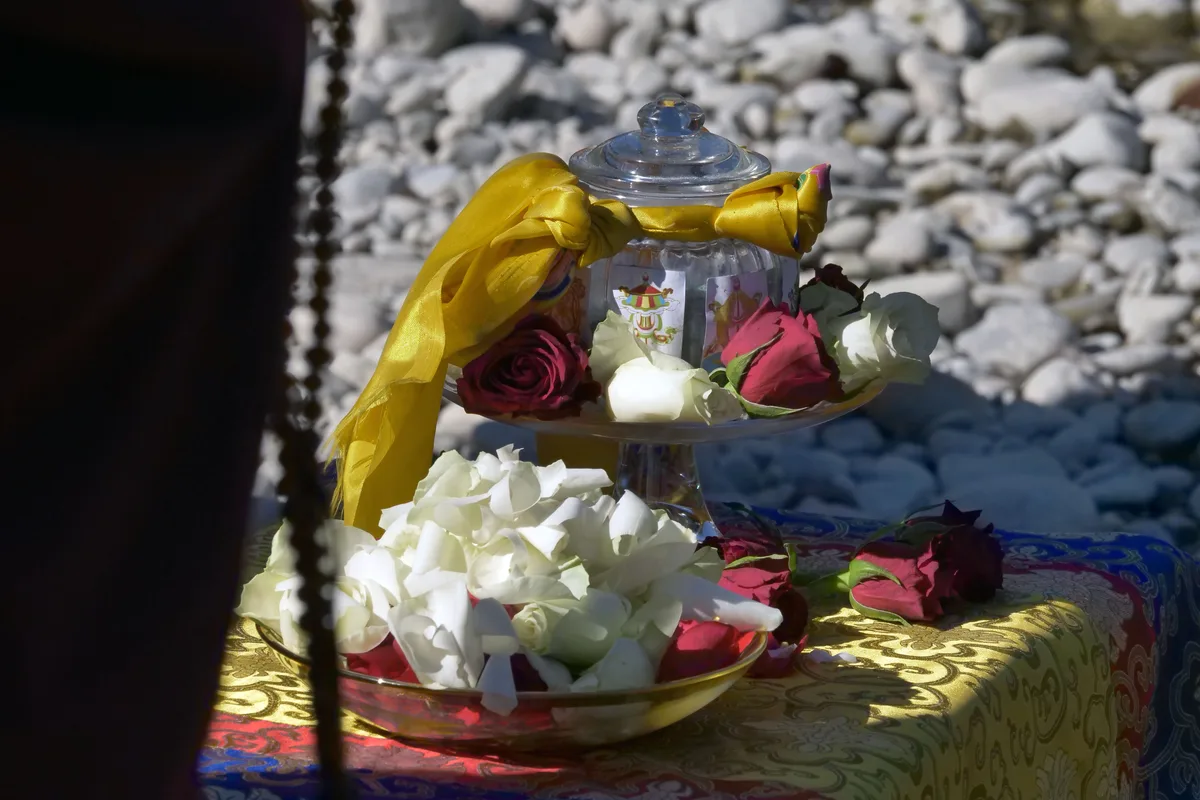Die Rosenblüten, die auf einem kleinen Tisch vorbereitet waren … Man sieht Rosenblüten kunstvoll arrangiert.