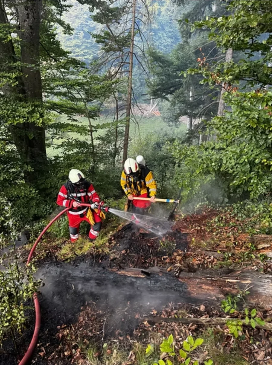 Die Feuerwehr Turbenthal-Wila-Wildberg musste wegen eines Waldbrands nach Tablat ausrücken.