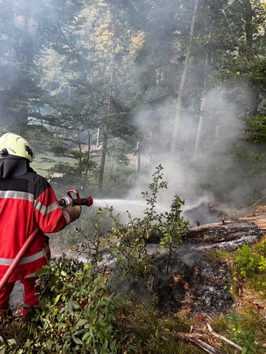 Die Feuerwehr Turbenthal-Wila-Wildberg musste wegen eines Waldbrands nach Tablat ausrücken.