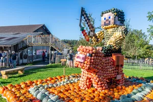 27635923-3 Kürbisse so gross wie die Pixel bei Minecraft.