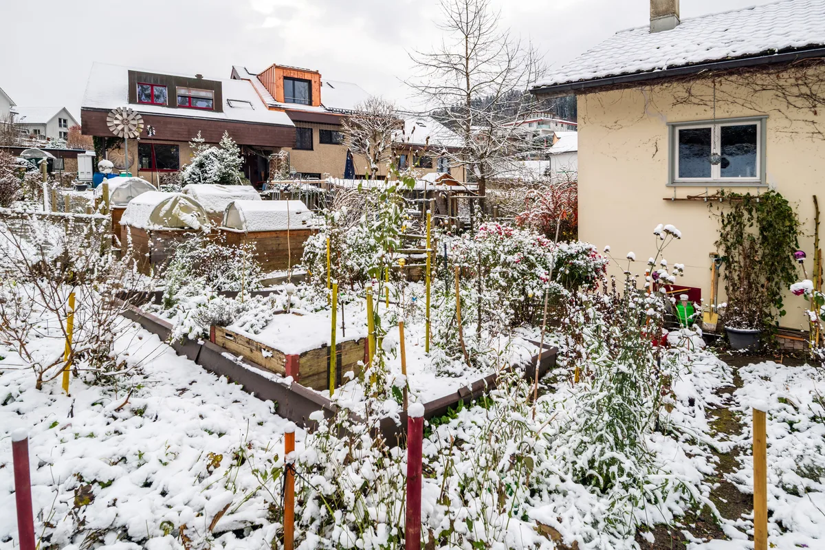 Der erste Schnee hat das Tösstal mit Puderzuckerüberzogen.