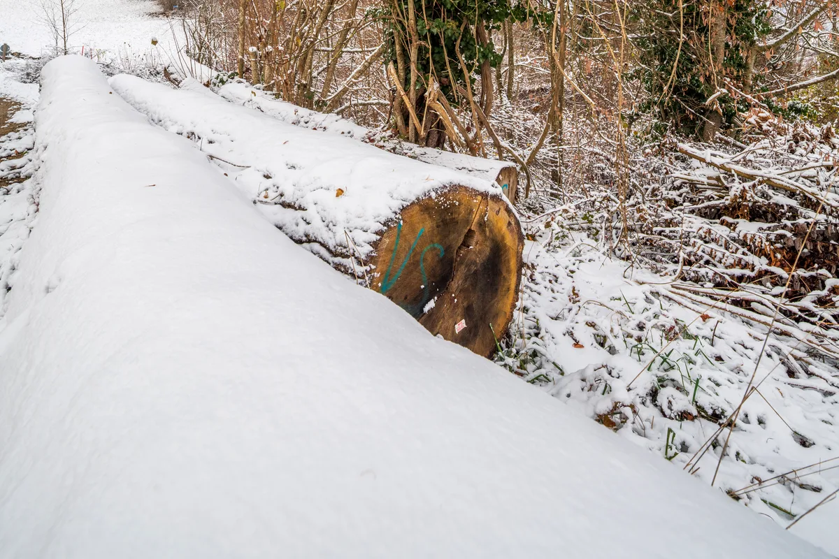 Der erste Schnee hat das Tösstal mit Puderzuckerüberzogen.