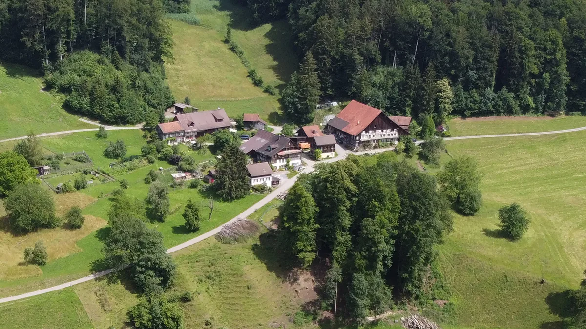 Der Weiler Gosswil, Turbenthal.