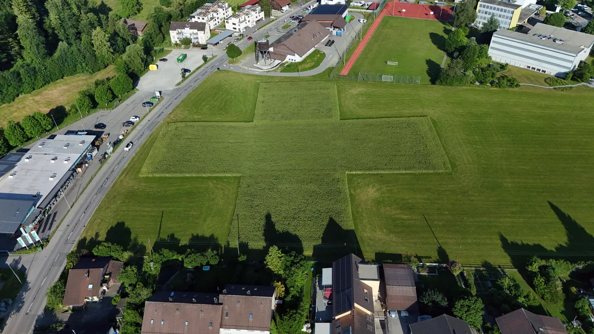 Wenn Martin Lüssis Sohn das Gebiet überfliegt, hat er einen tollen Blick auf das gemeinsame Kunstwerk. Landwirt Martin Lüssi hat in Turbenthal auf seinem Feld das Schweizer Kreuz gestaltet.