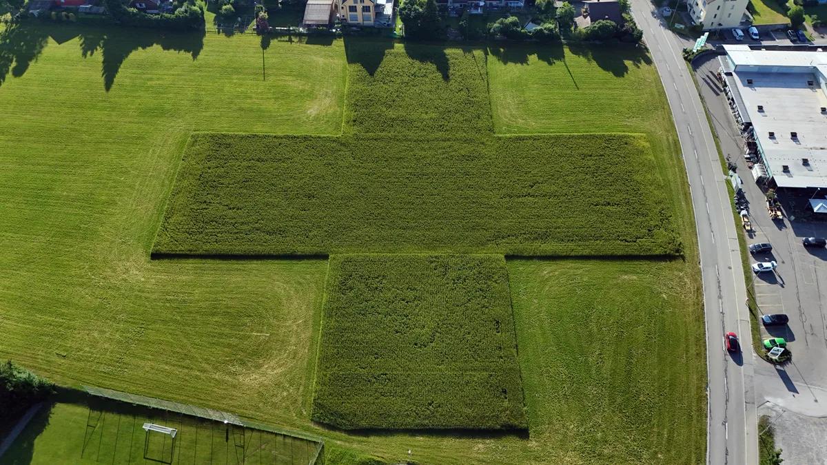 Martin Lüssi hat auf einer seiner Wiesen in Turbenthal ein riesiges Schweizer Kreuz gestaltet. Martin Lüssi hat auf einer seiner Wiesen in Turbenthal ein riesiges Schweizer Kreuz gestaltet.