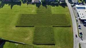 Martin Lüssi hat auf einer seiner Wiesen in Turbenthal ein riesiges Schweizer Kreuz gestaltet. Martin Lüssi hat auf einer seiner Wiesen in Turbenthal ein riesiges Schweizer Kreuz gestaltet.