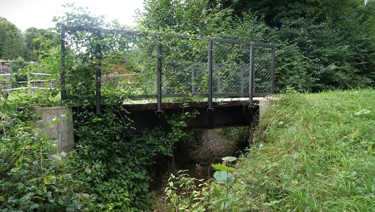 Für den Ägetswilerbach  hat der Gemeinderat grosse Pläne.