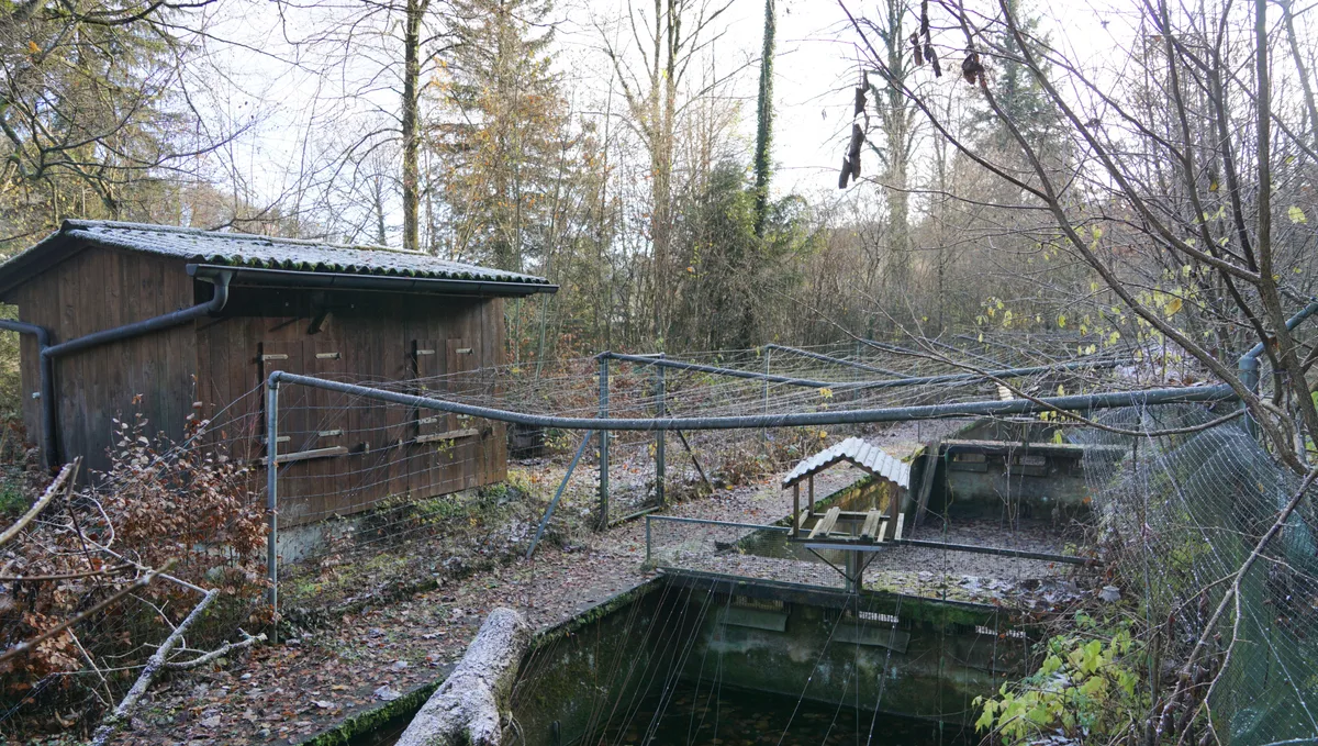 Man sieht alte Fischzuchtbecken aus Beton, die nicht mehr genutzt werden.