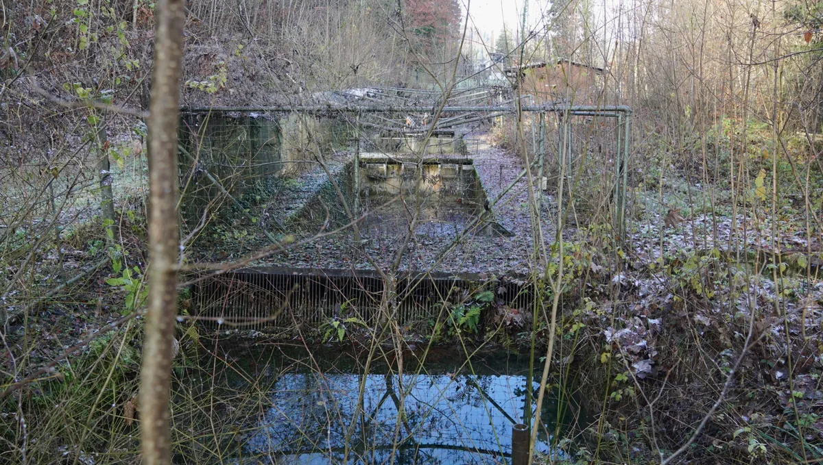 Man sieht alte Fischzuchtbecken aus Beton, die nicht mehr genutzt werden.
