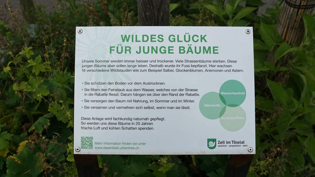 Info-Tafel am Fusse eines Baums.