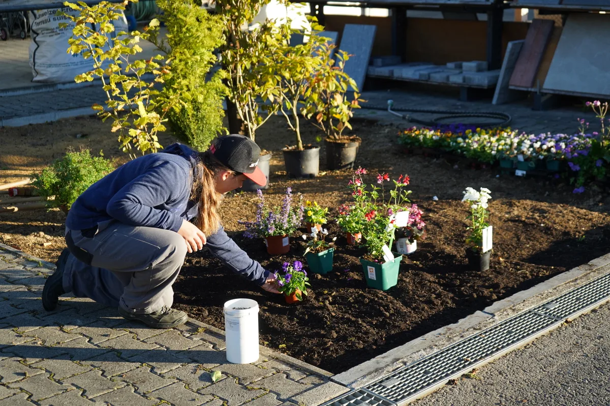 Jugendliche besuchen während des Berufwahlparcours die Spalinger Gartenbau AG