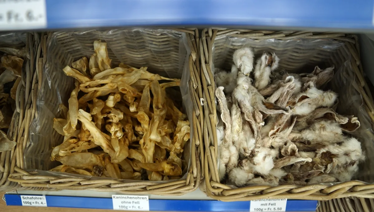 Hundeshop Fide Canem Rikon