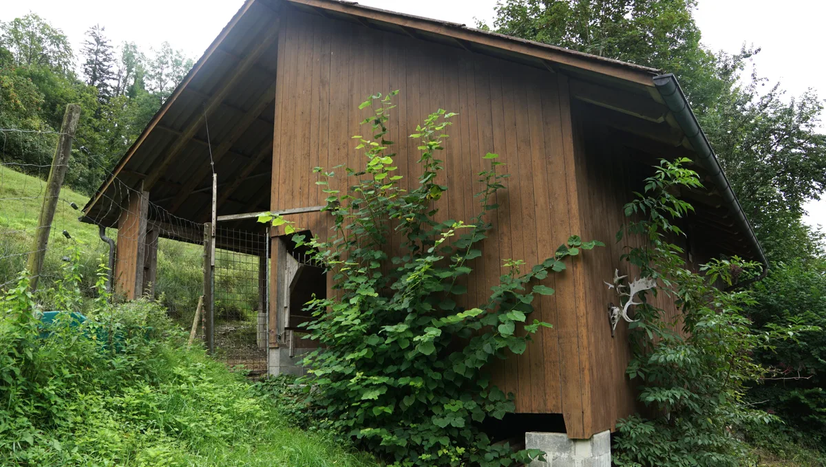 Holzhütte an einem Hang