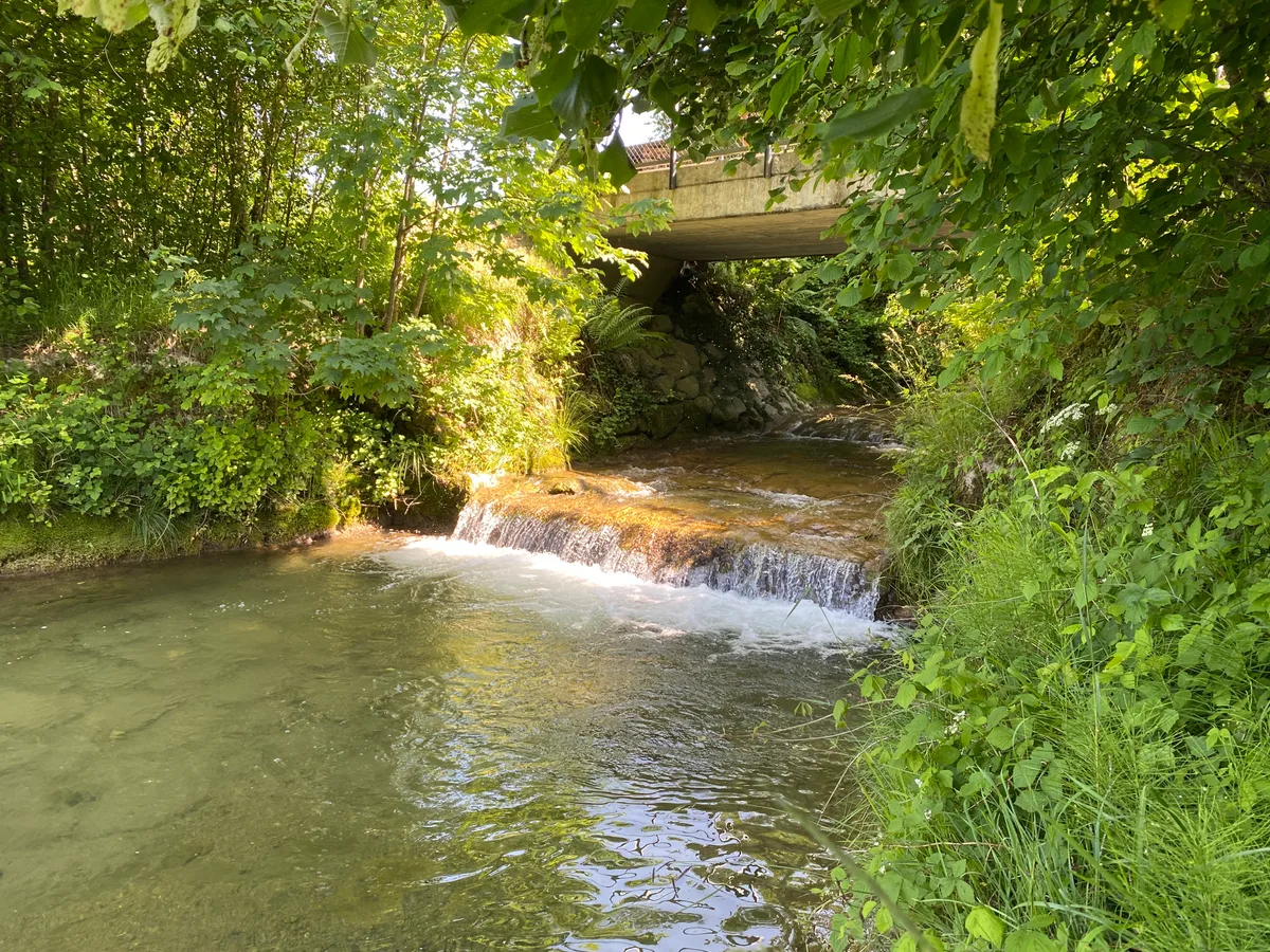 Man sieht Bilder vom Ist-Zustand des Tobelbachs in Rikon, vor Umsetzung des Fischgängigkeitsprojekt.