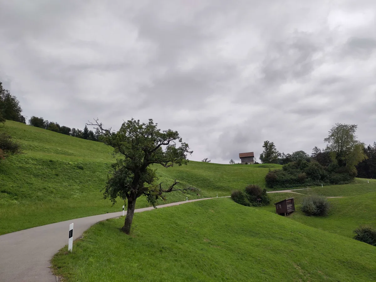 Man sieht einen grünen Hügel mit einer schmalen Strasse.