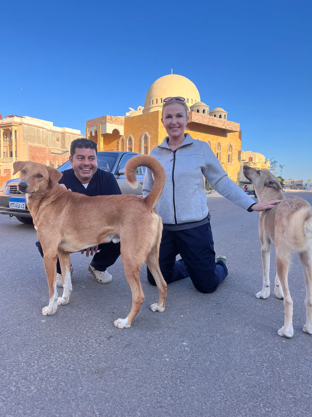 Mann und Frau posieren mit Hunden.