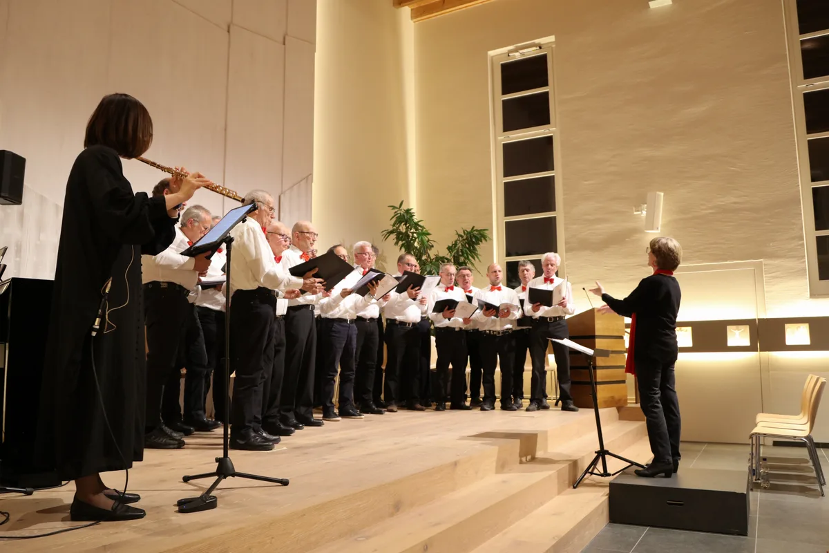 Bei manchen Stücken begleitete Akira Spitz auch die Stücke des Männerchors. Frühlingskonzert Männerchor Juckern-Saland begleitet vom Triqueta Celtic Music Ensemble.