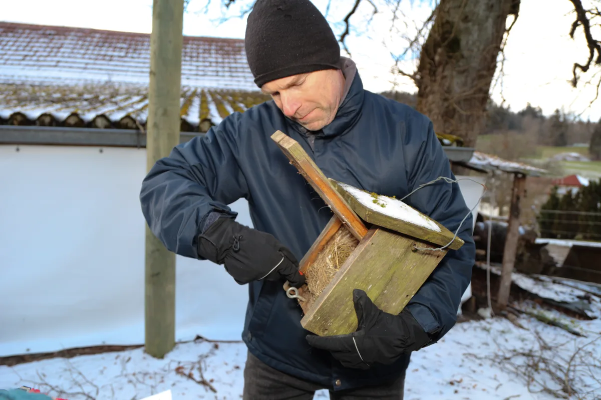 Urs Hofmann besitzt über 40 Nisthilfen. Jede wird mit einem Spachtel oder Pinsel gereinigt, um Parasitenbefall zu minimieren und so die Brut zu schützen. Reinigung der Nisthilfen mit dem Naturschutzverein Elgg und Umgebung in Schlatt