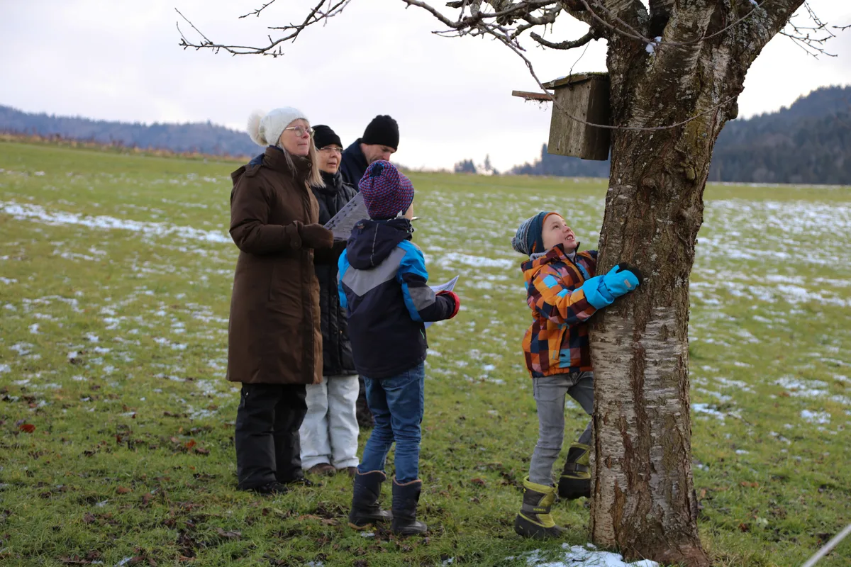 Diese hängt doch etwas zu hoch für den kleinen Mann – da braucht es Hilfe von den «Grossen». Reinigung der Nisthilfen mit dem Naturschutzverein Elgg und Umgebung in Schlatt