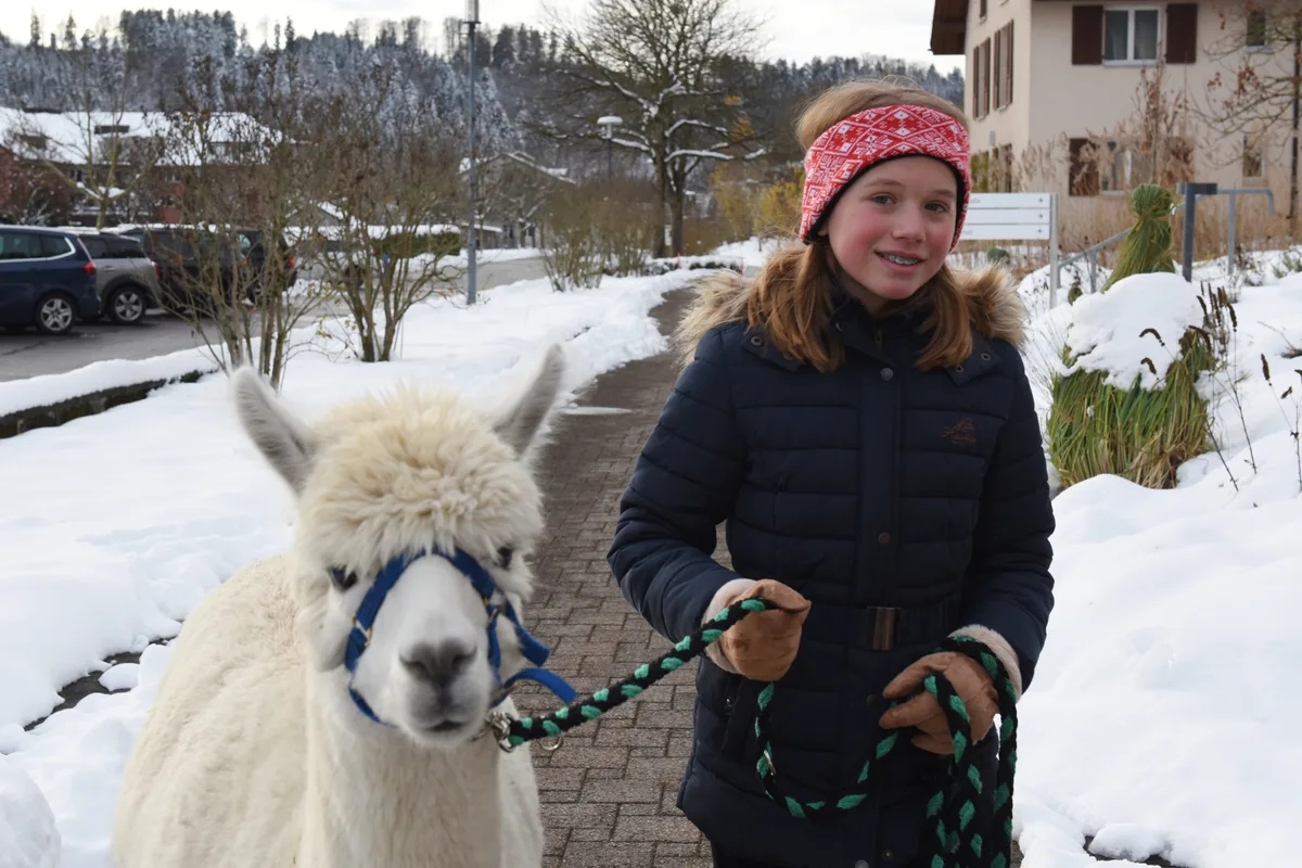 In der Kapelle Rämismühle fand am Sa der Basar mit Alpaka spaziergang statt.