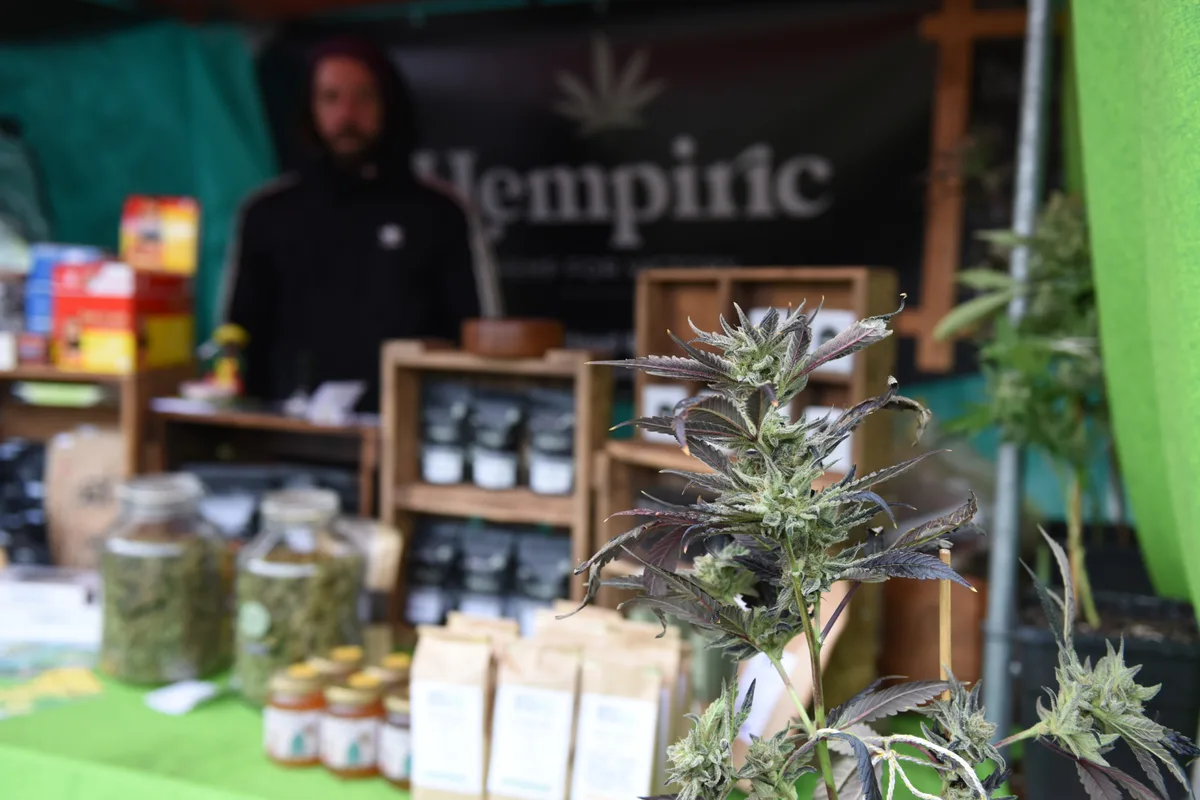 Am 20. April 2024 fand in Fischenthal der Frühlingsmarkt statt. Fotos von Mirjam Müller