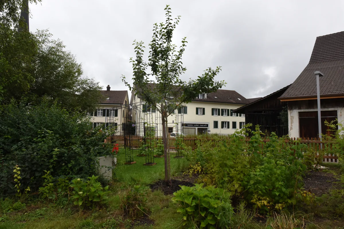 Gemeinsame Gartenarbeit in Turbenthal am Samstag, 13. Juli 2024.