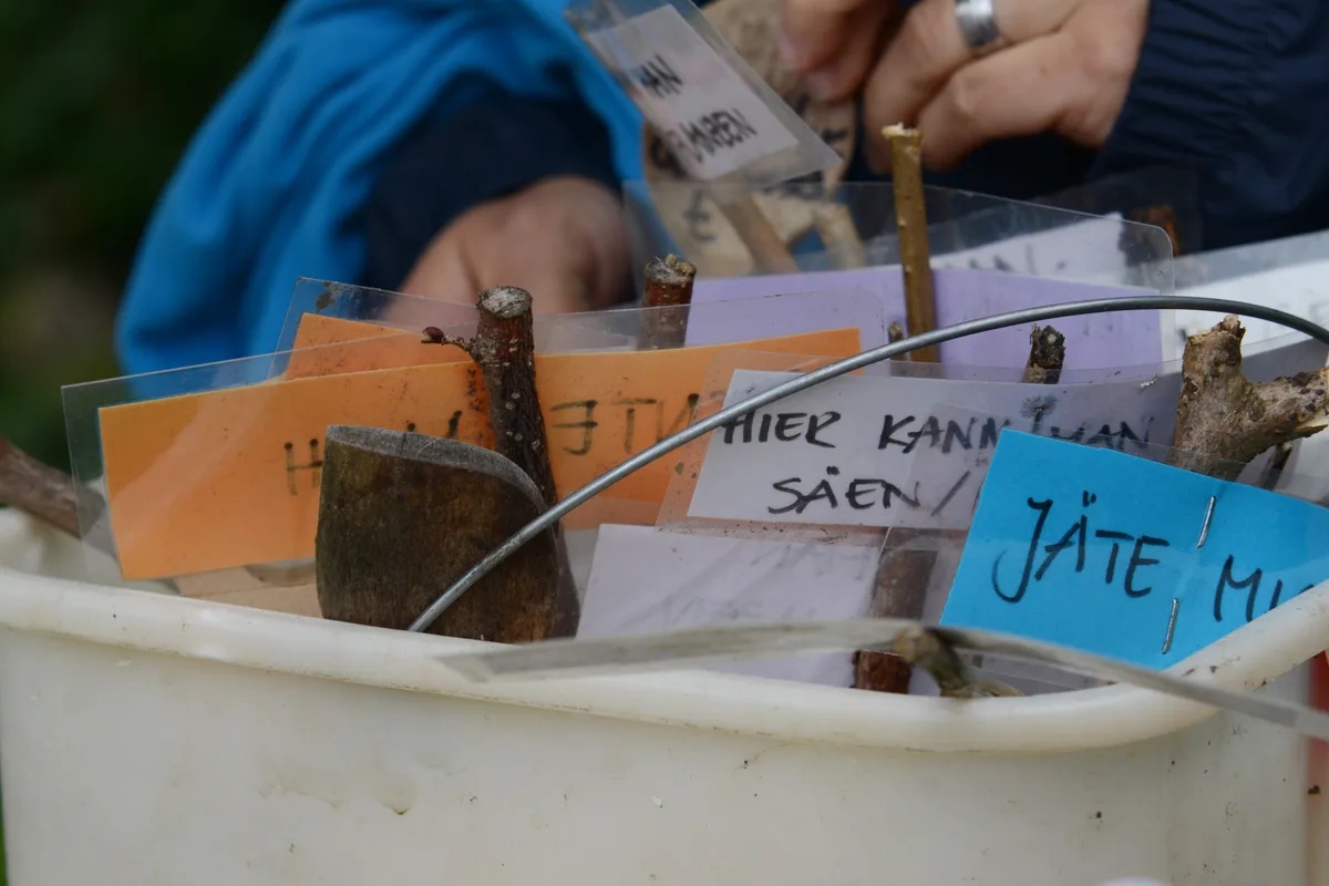 Gemeinsame Gartenarbeit in Turbenthal am Samstag, 13. Juli 2024.