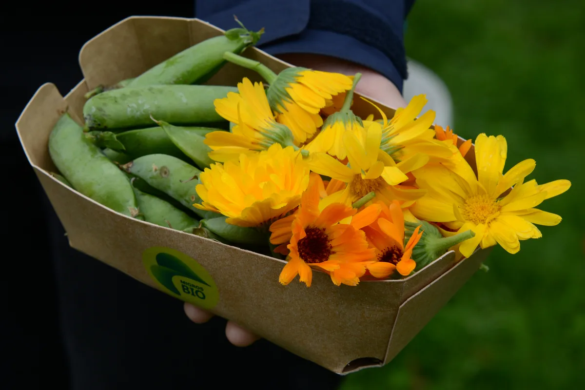 Gemeinsame Gartenarbeit in Turbenthal am Samstag, 13. Juli 2024.
